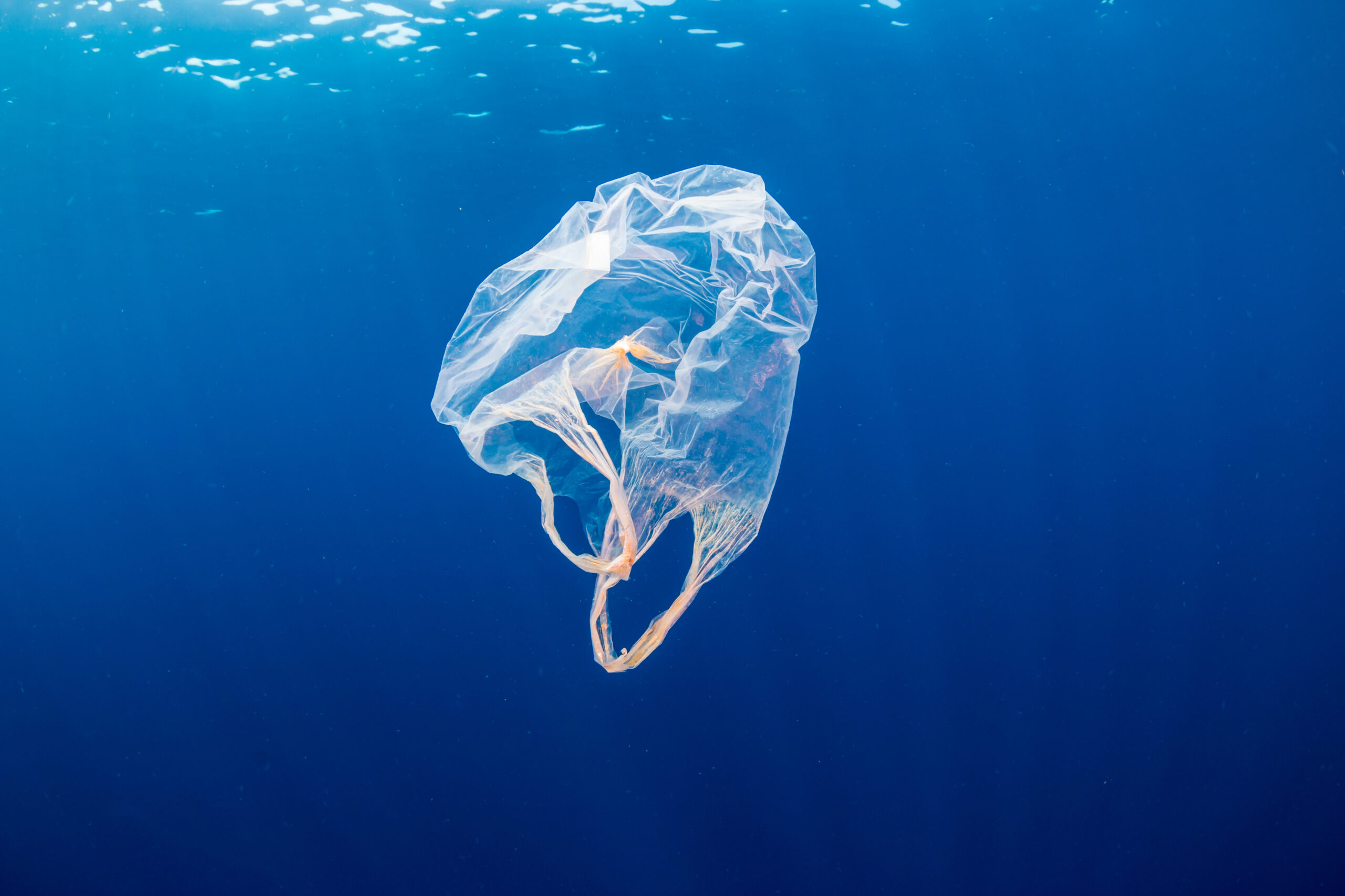 Plastic waste in the ocean